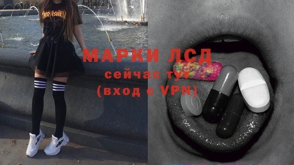 гашик Алексеевка