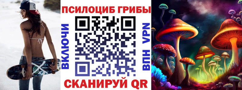 Псилоцибиновые грибы прущие грибы  Чаплыгин 