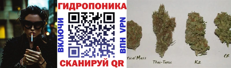 МАРИХУАНА индика Чаплыгин