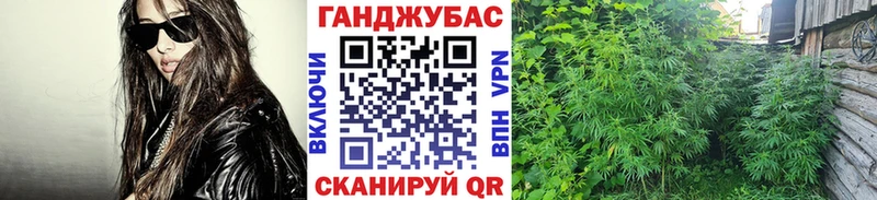 Бошки марихуана White Widow  Чаплыгин 